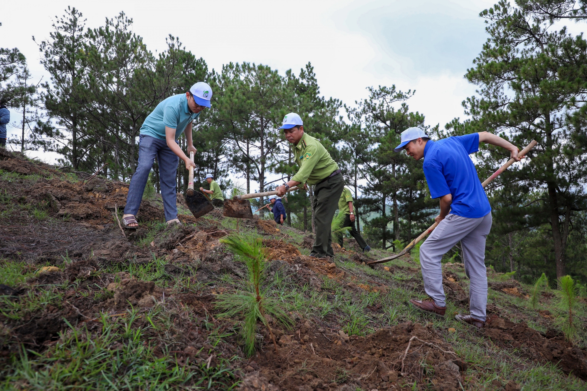 Cán bộ, công chức Khối Kinh tế Kỹ thuật tỉnh Lâm Đồng thi đua trồng cây, gây rừng