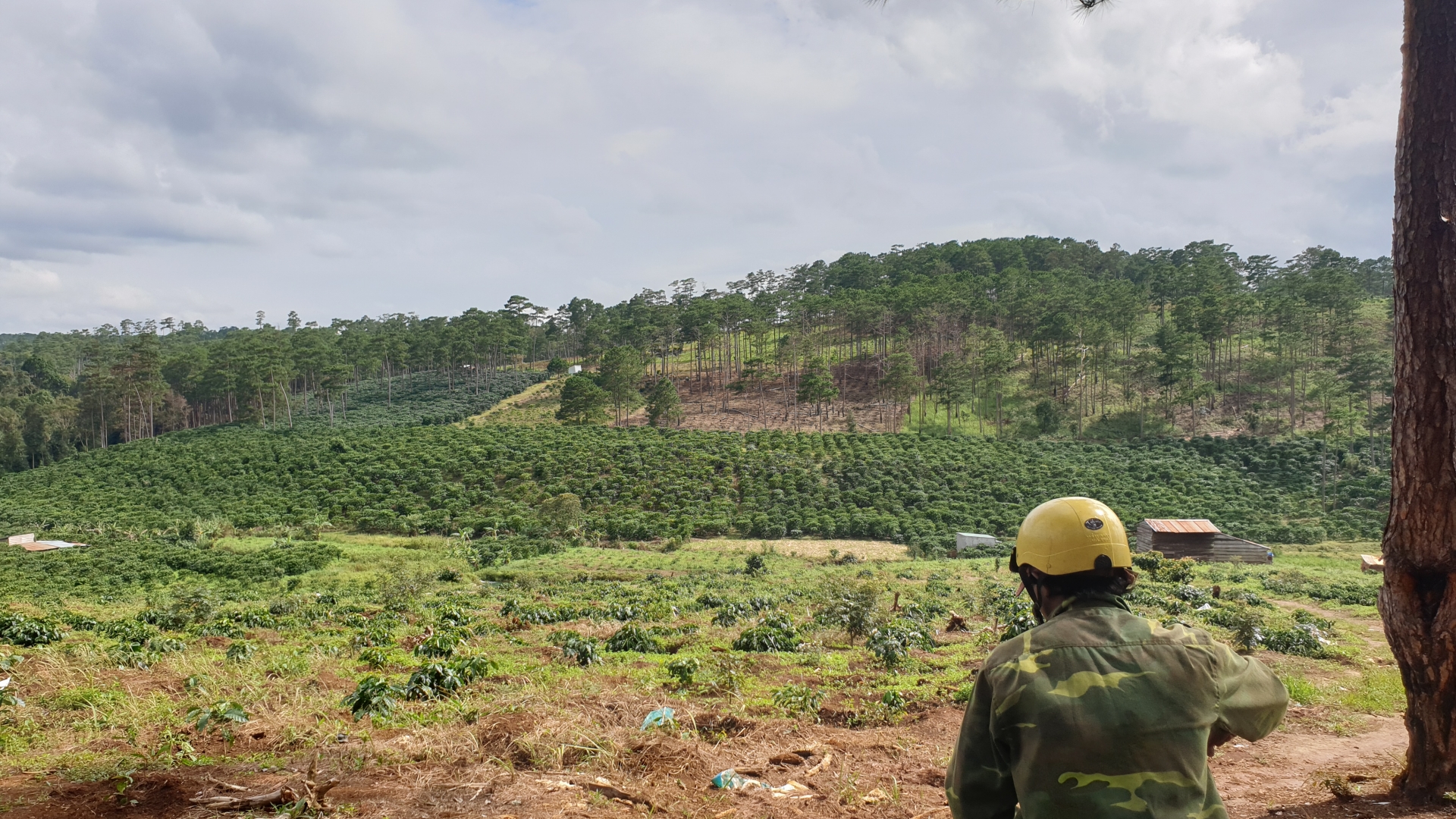 Bảo Lâm: Thành lập 3 đoàn kiểm tra toàn diện các dự án đầu tư liên quan đến đất rừng