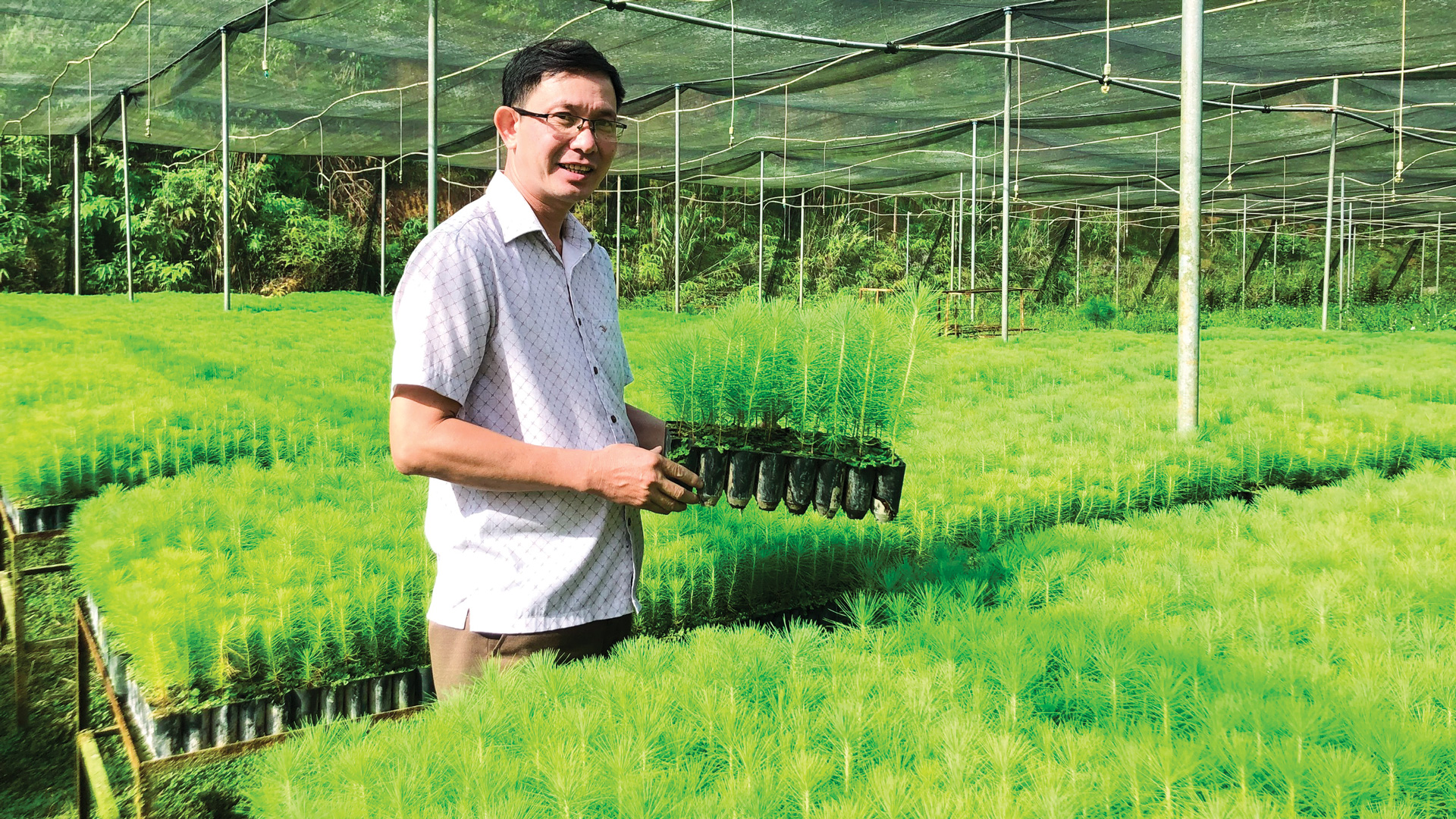 Ông Hàn Văn Nam giới thiệu về vườn thông giống trồng trên giá thể xơ dừa