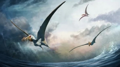 Phát hiện hóa thạch loài thằn lằn bay mới có tuổi đời khoảng 100 triệu năm