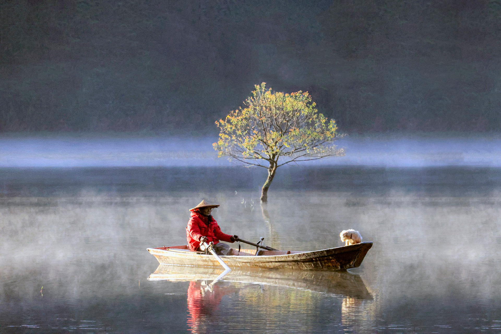 Ban mai ở hồ Tuyền Lâm. Ảnh: Võ Trang 
