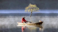 Ban mai ở hồ Tuyền Lâm