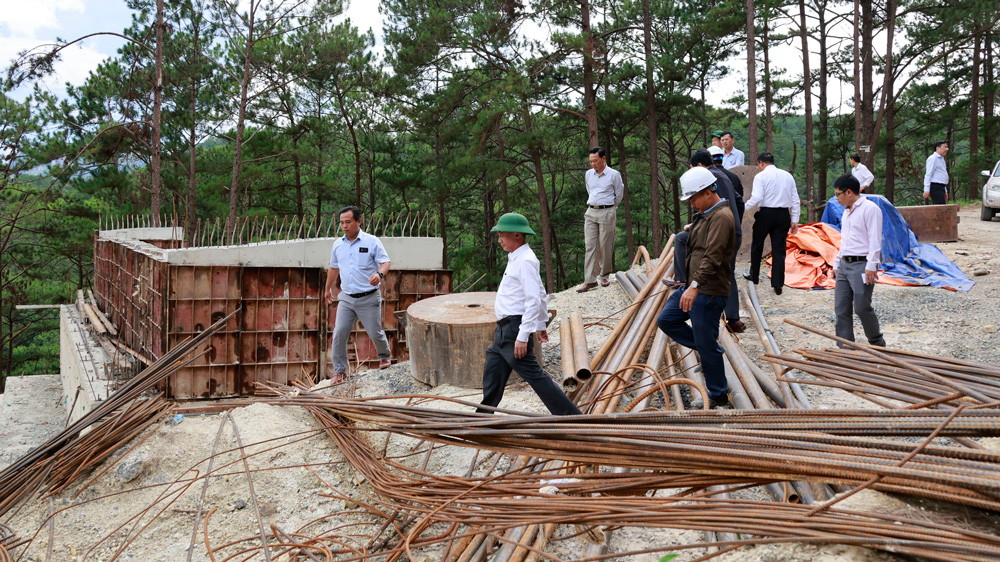 Thành lập Tổ công tác xử lý cây có nguy cơ ngã đổ trong quá trình thi công nâng cấp, mở rộng đèo Prenn