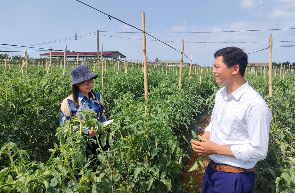 Đảng viên trẻ làm kinh tế giỏi