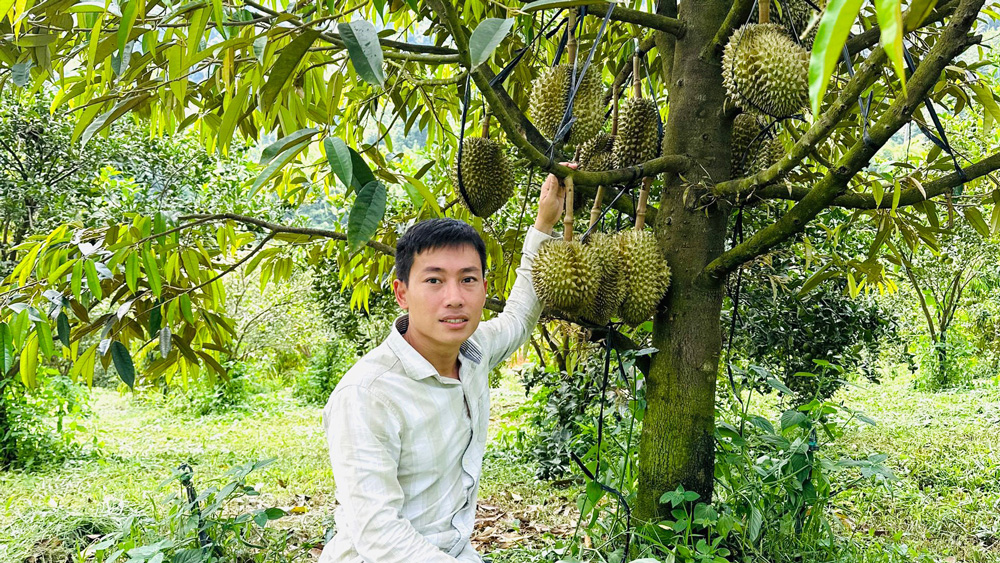Nguyễn Thái Sơn - nông dân sản xuất giỏi, thanh niên tiên tiến làm theo lời Bác