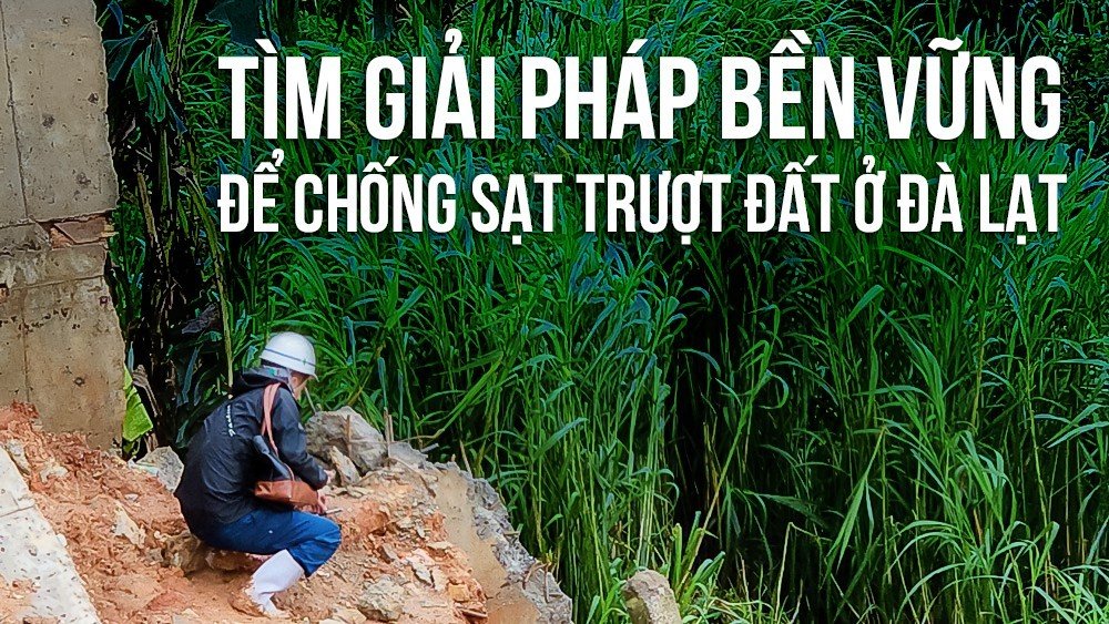 Bài 1: Chuyên gia Nhật Bản tham vấn gì sau chuyến khảo sát địa hình?