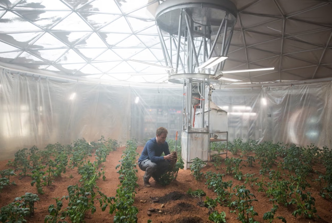 Matt Damon trồng khoai tây trong bộ phim The Martian. Ảnh: 20th Century Fox/Allstar