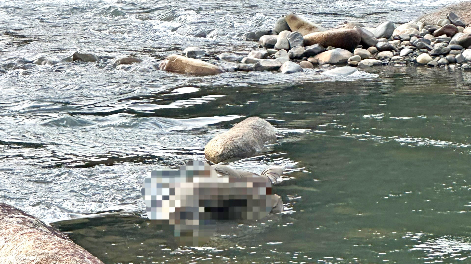 Đã xác định danh tính thi thể người đàn ông trôi trên sông Đạ Huoai
