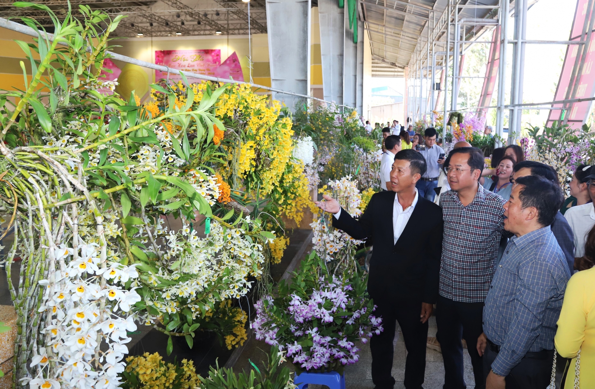 Thành lập Hội hoa lan TP Bảo Lộc