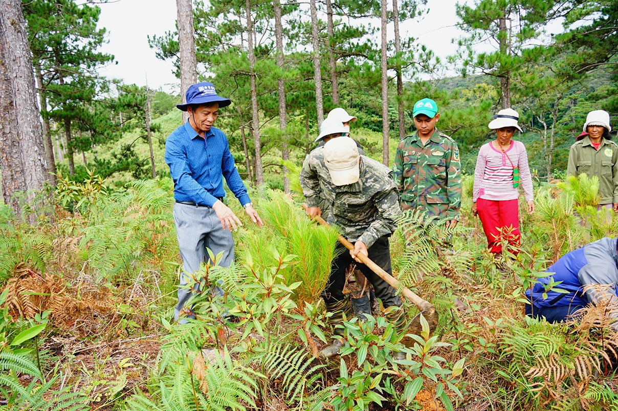Ông Nguyễn Lương Minh-Phó Giám đốc phụ trách Vườn quốc gia Bidoup-Núi Bà (trái) trực tiếp tham gia trồng cây 