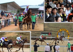 Nỗ lực đưa Việt Nam tái gia nhập sân chơi đua ngựa quốc tế