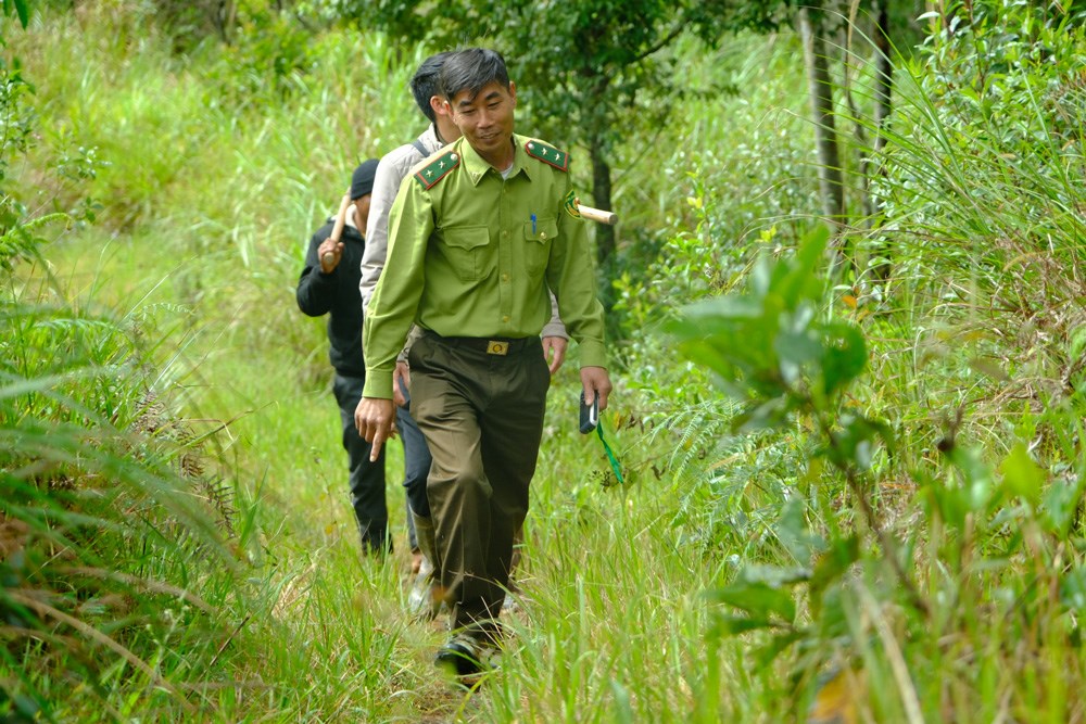 Nguồn thu ổn định nhất của 80% hộ dân Đưng K’Nớ vẫn là số tiền nhận khoán quản lý, bảo vệ rừng. 