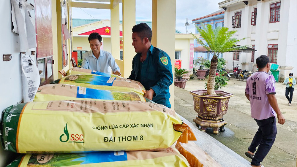 Đam Rông hỗ trợ gần 16 tấn lúa giống cho nông dân sản xuất vụ hè thu