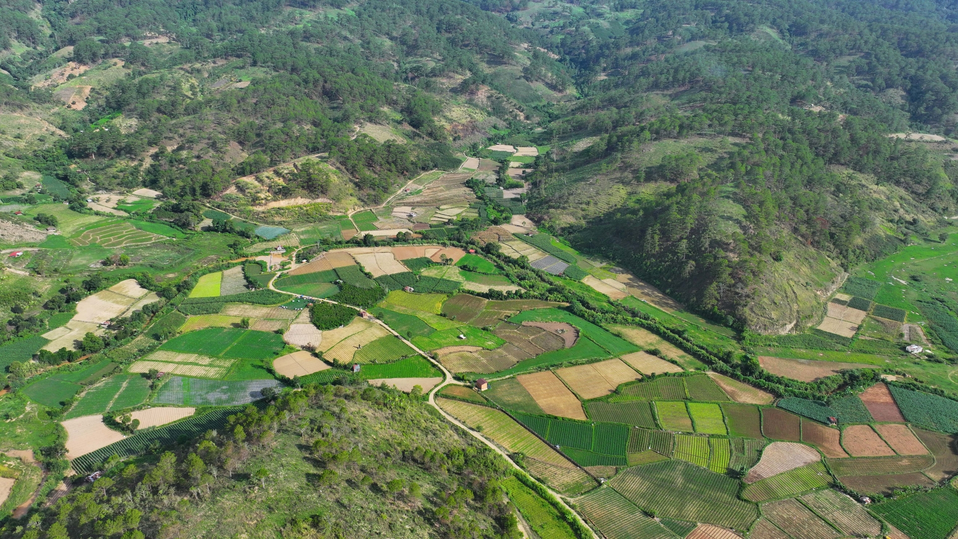 Khu vực thu hồi đất để triển khai Dự án hồ chứa nước Ta Hoét tại thôn KRèn, xã Hiệp An, huyện Đức Trọng