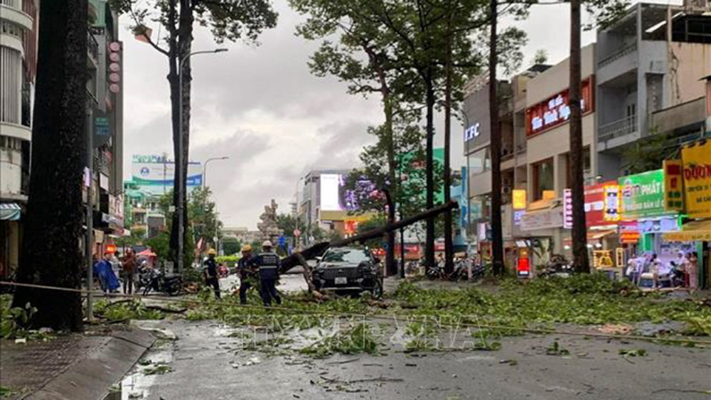 Cây gãy đổ hàng loạt trong mưa lớn kèm gió giật tại Thành phố Hồ Chí Minh