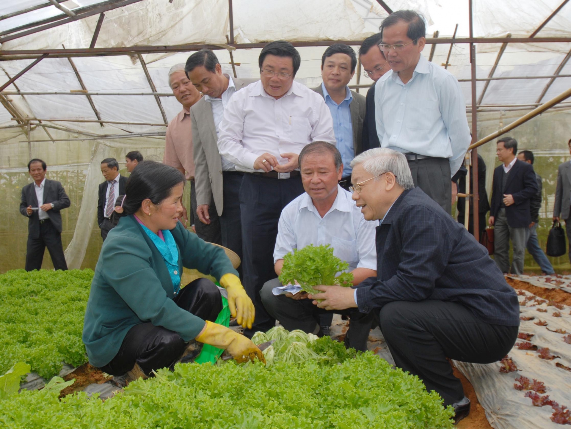 Tổng Bí thư Nguyễn Phú Trọng thăm vùng rau sạch người dân Đà Lạt vào tháng 12/2012.