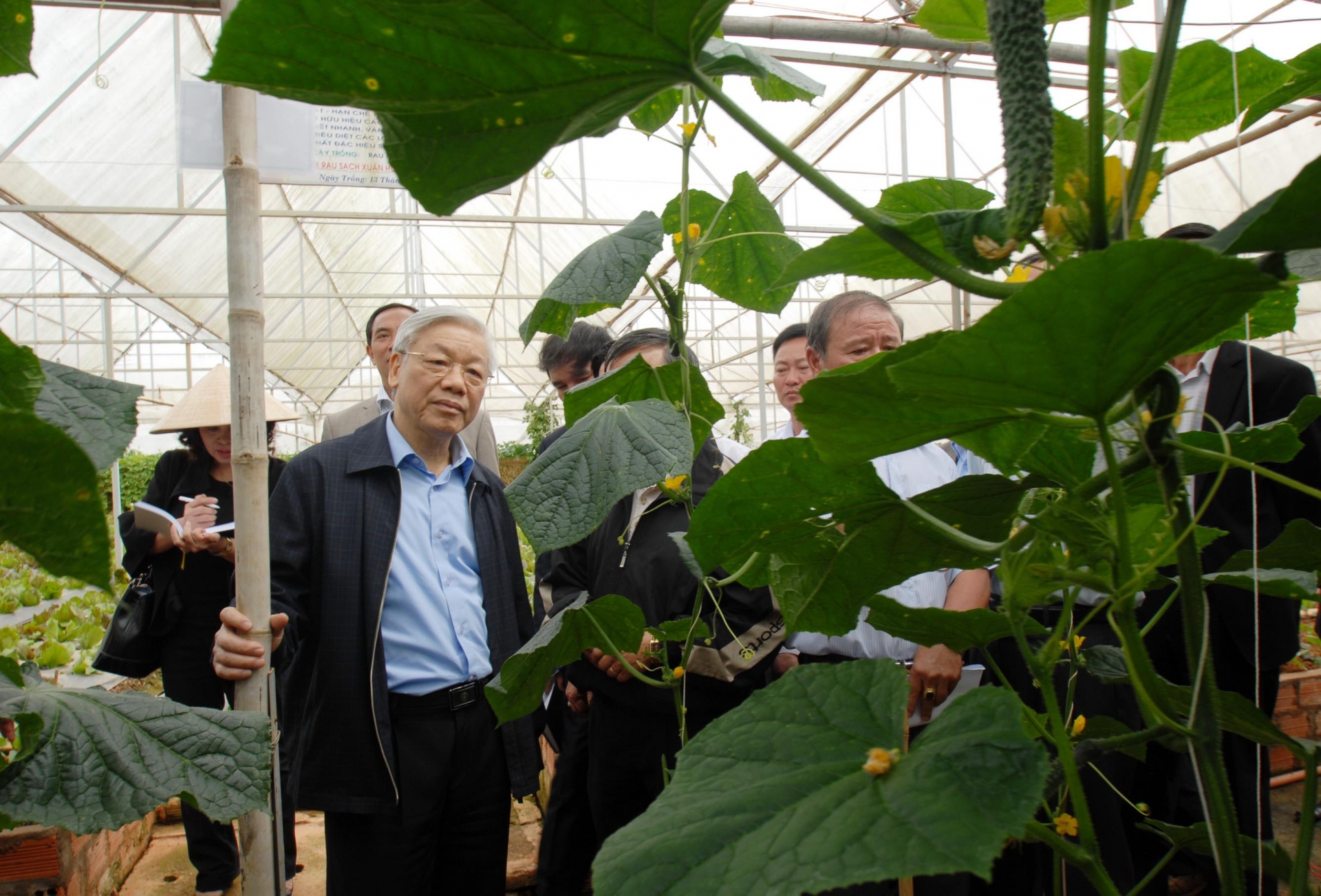 Tổng Bí thư Nguyễn Phú Trọng thăm vùng nông sản công nghệ cao vào tháng 12/2012. 