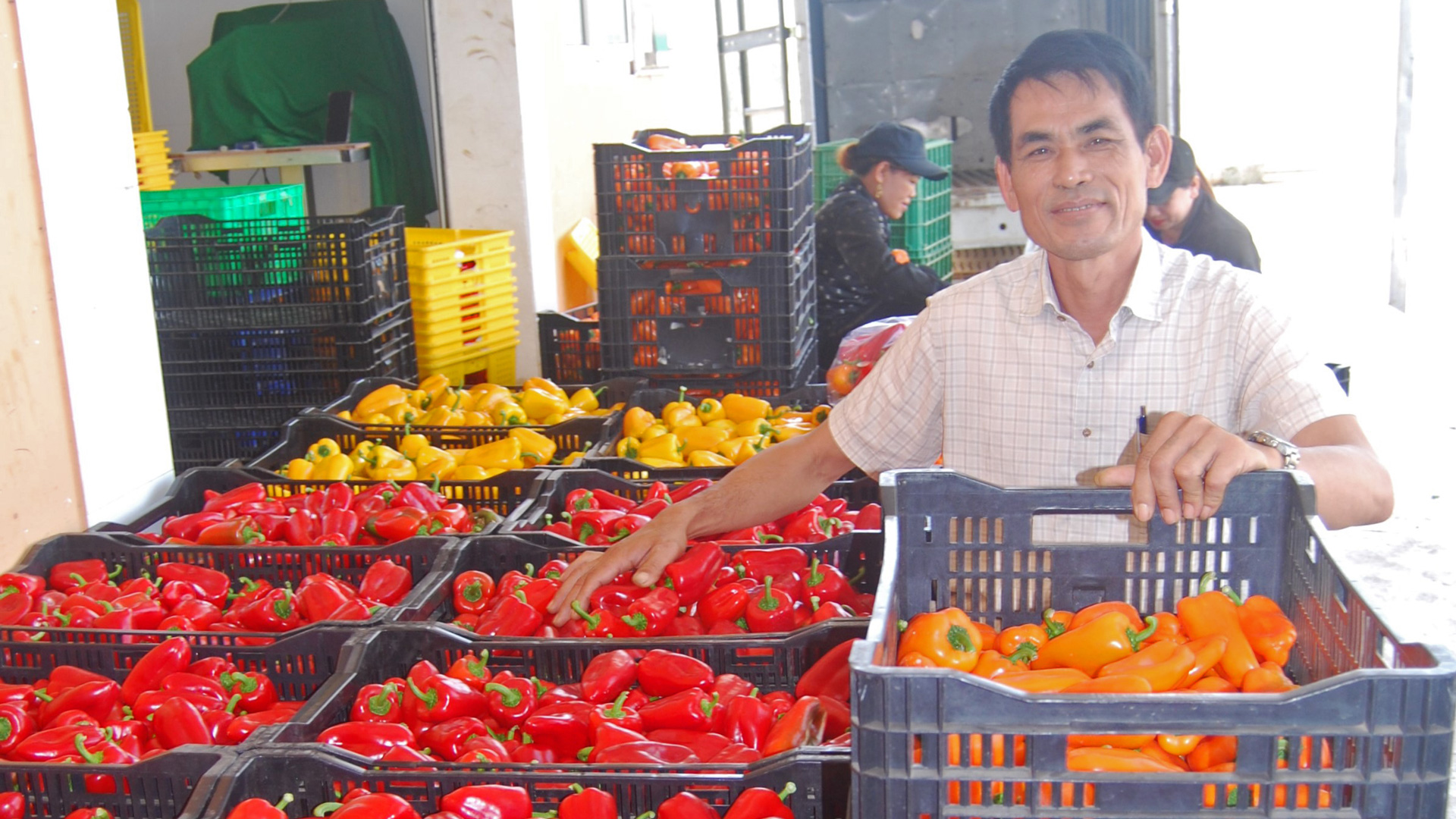 HTX Dịch vụ nông nghiệp tổng hợp An Phú, xã Hiệp An, huyện Đức Trọng 
đã và đang làm cầu nối tiêu thụ rau, củ, quả của nông dân đến hệ thống siêu thị trong nước