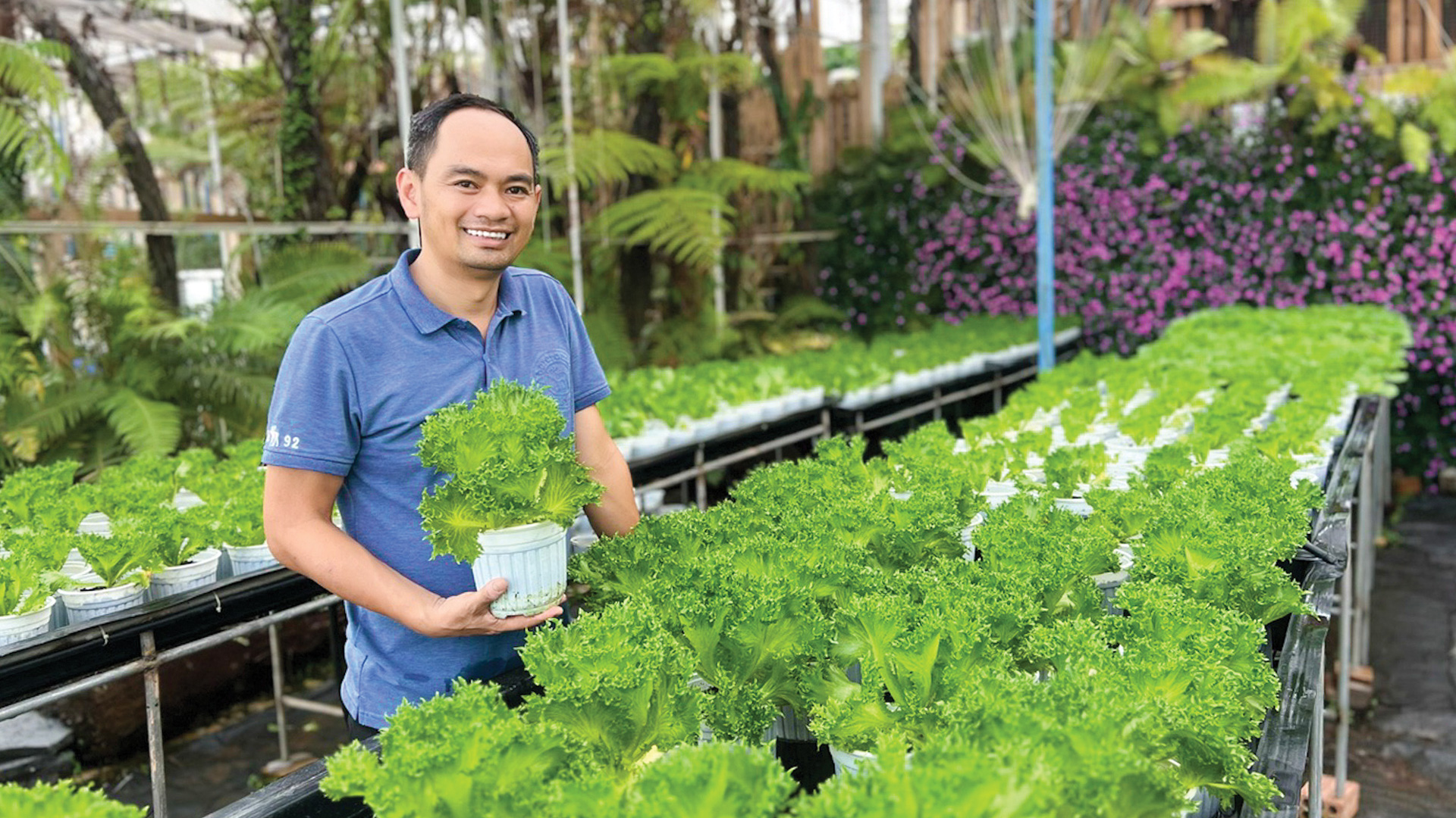 Tiên phong ứng dụng khoa học kỹ thuật hiện đại, anh Nguyễn Đức Huy đã thành công trong việc xây dựng thương hiệu cho HTX Thủy canh Việt, với chất lượng sản phẩm vượt trội