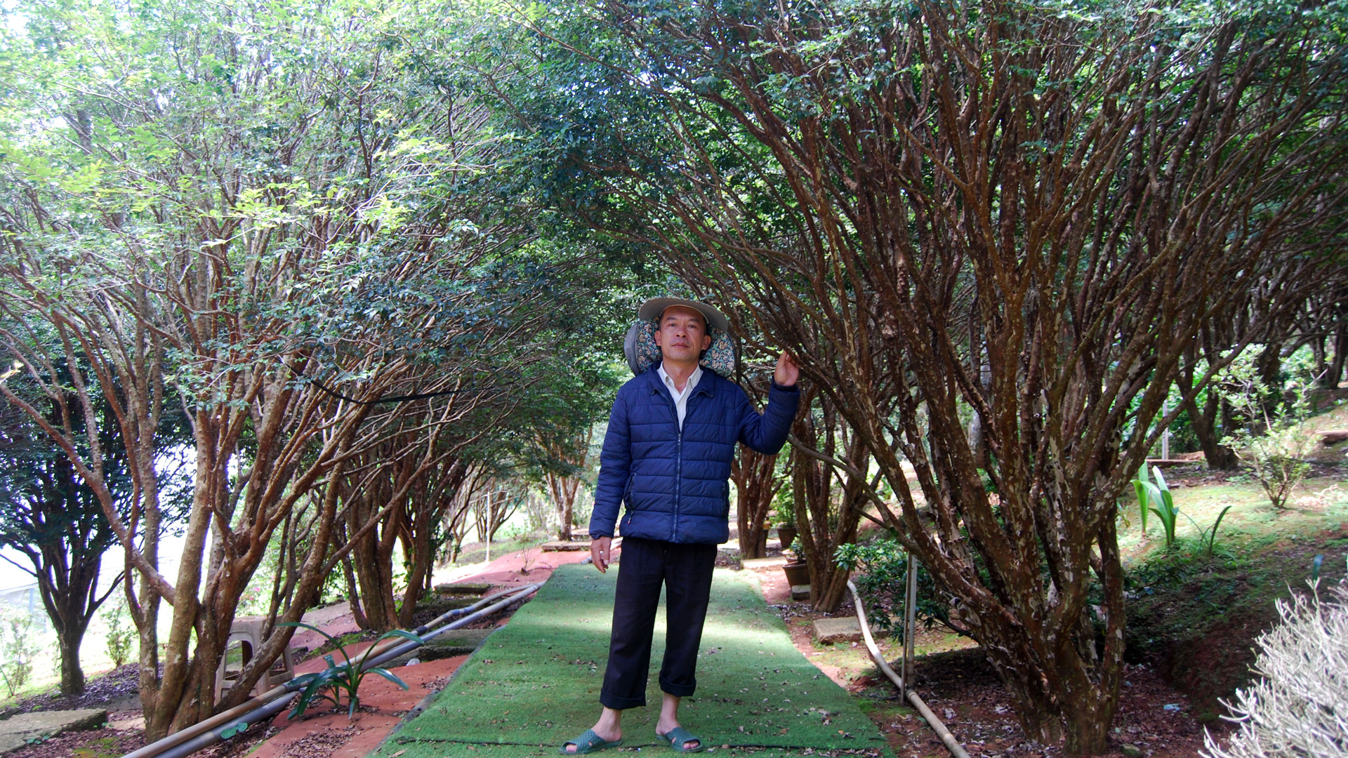 Chủ vườn Chế Lương bên cây nho thân gỗ đầu dòng