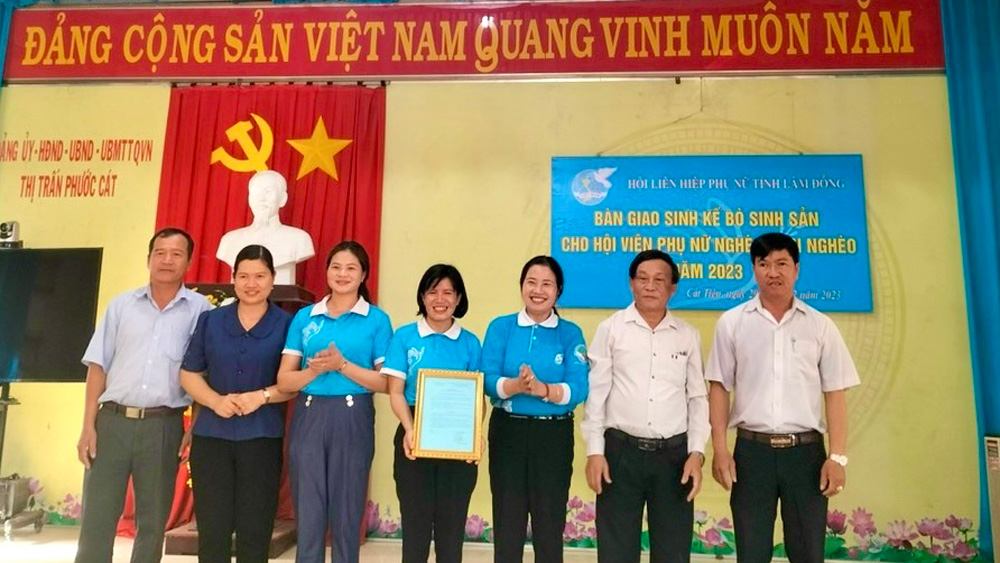 Năm 2023, Hội LHPN tỉnh hỗ trợ sinh kế bò sinh sản cho 41 hộ hội viên phụ nữ nghèo, cận nghèo tại 3 huyện Di Linh, Cát Tiên và Đạ Huoai
