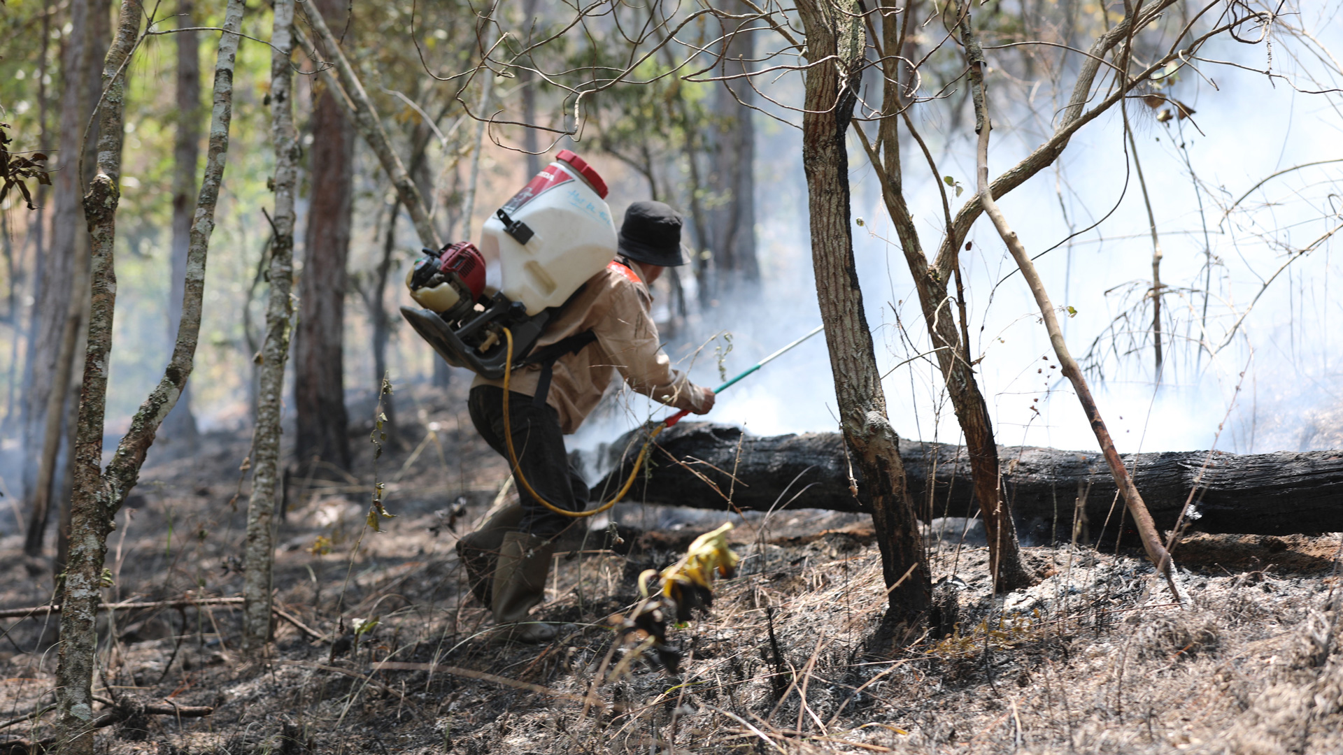 Cán bộ quản lý, bảo vệ rừng tham gia chữa cháy rừng