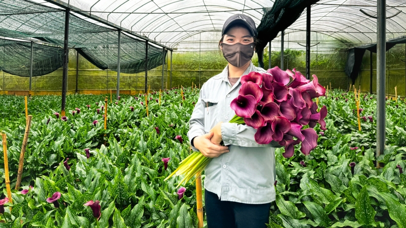 CÔNG ĐOÀN CƠ SỞ CÔNG TY BONNIE FARM: Mái ấm một doanh nghiệp