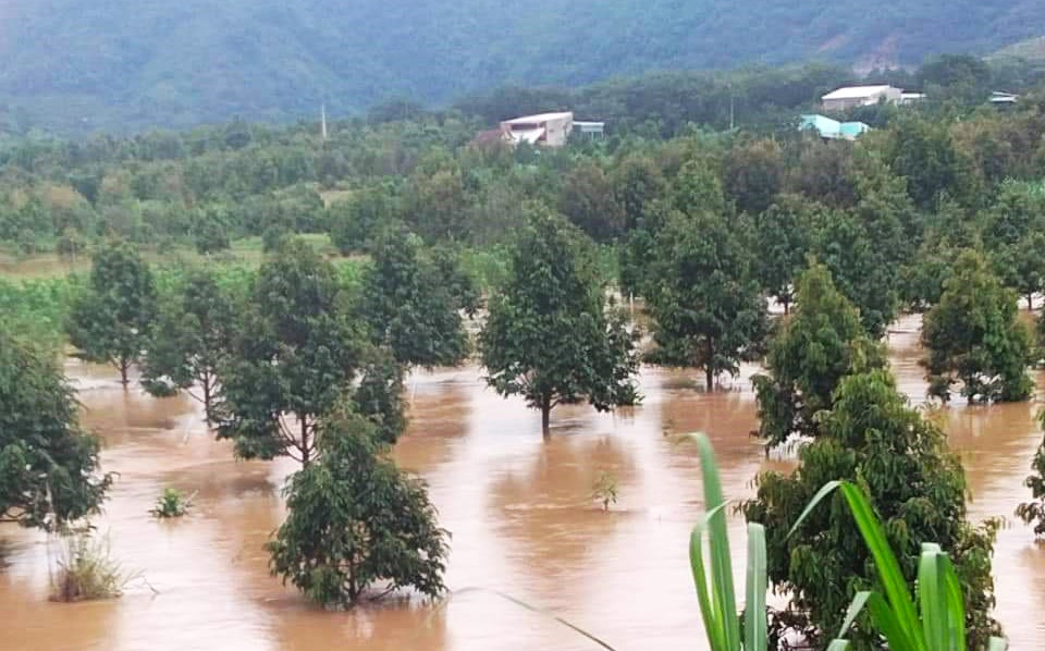 Bảo Lâm: Mưa bão gây nhiều thiệt hại về tài sản của người dân