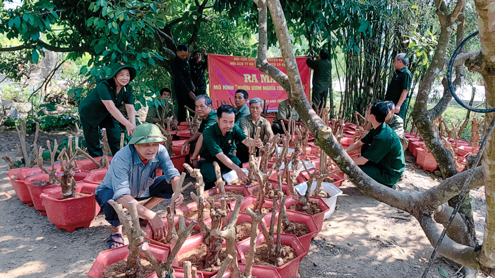 Hội Cựu chiến binh Đạ Tẻh với các Mô hình “Dân vận khéo”