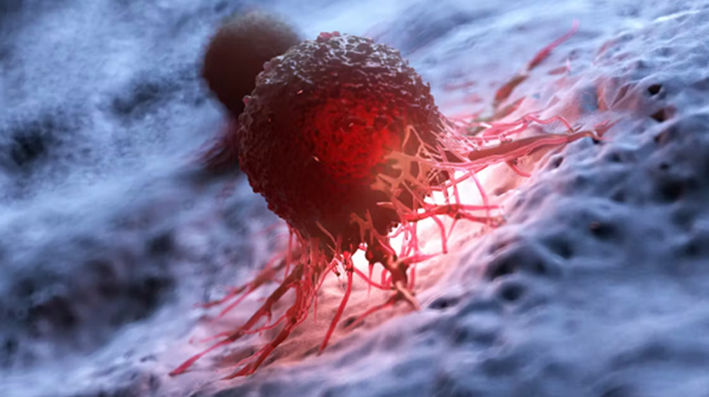 Vi khuẩn biến đổi gene có thể giúp phát hiện tế bào ung thư