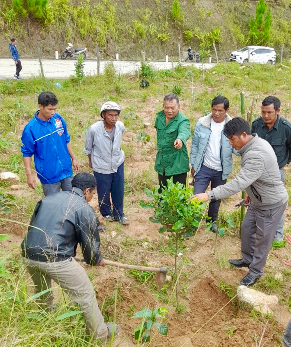 Các thành viên trong dòng họ Bon Niêng
hướng dẫn nhau phát triển sản xuất