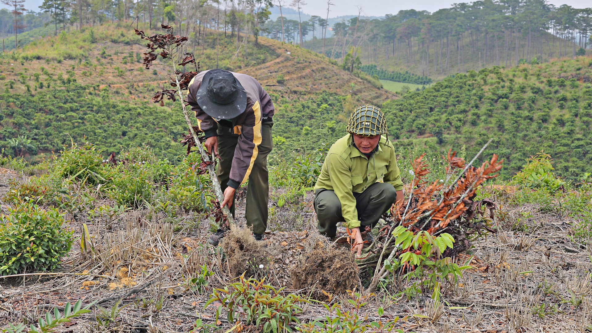 Ban Quản lý Rừng phòng hộ Phi Liêng cùng các hộ dân tham gia nhận khoán bảo vệ rừng, thực hiện giải tỏa cây trồng lấn chiếm trái phép