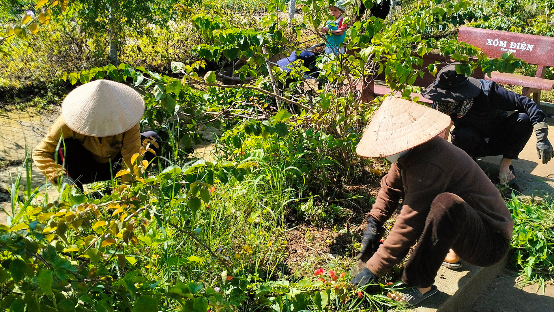 Thôn Thịnh Long - điểm sáng trong Phong trào xây dựng Nông thôn mới