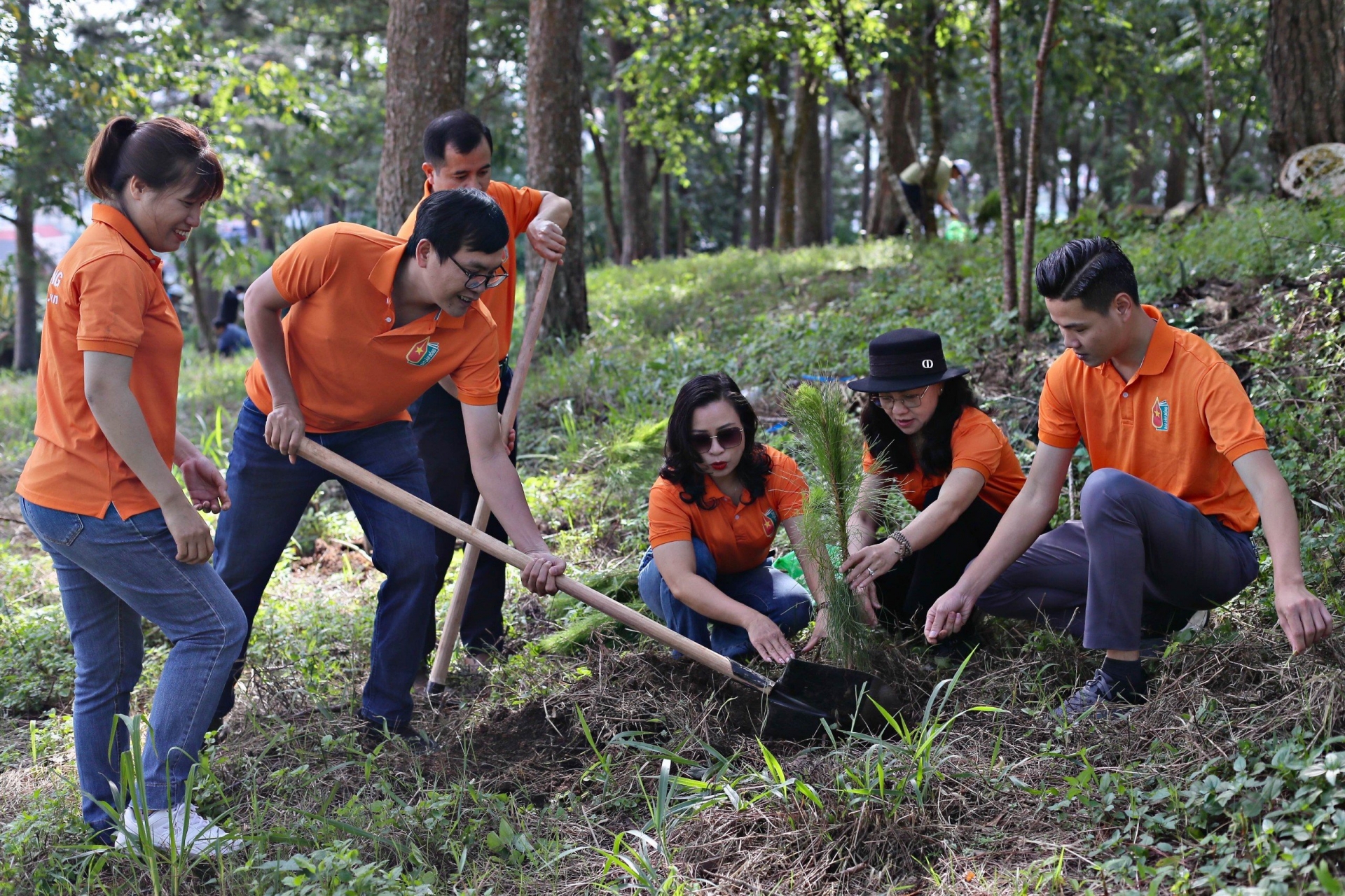 400 cây thông được trồng khuôn viên Dinh III
