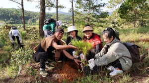 Các đơn vị du lịch Lâm Đồng – Bình Thuận trồng rừng ở Tà Năng
