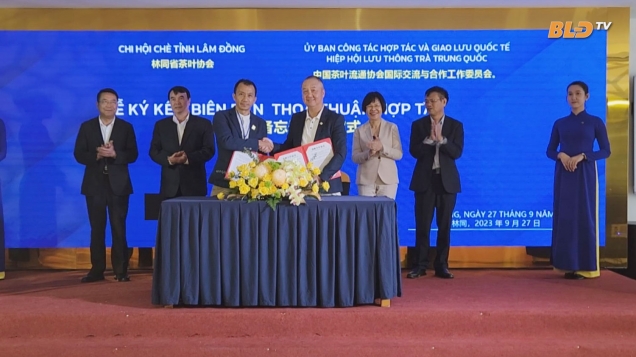 Lâm Đồng xúc tiến giao thương ngành chè với tỉnh Quảng Đông - Trung Quốc