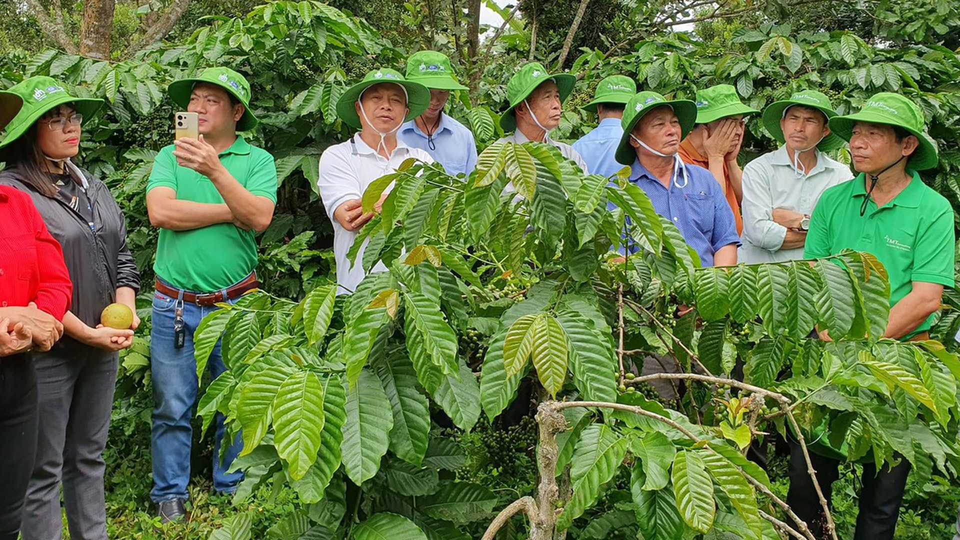 Nông dân tiêu biểu tham quan, học hỏi kinh nghiệm sản xuất cà phê tại Di Linh. Ảnh: Văn Việt