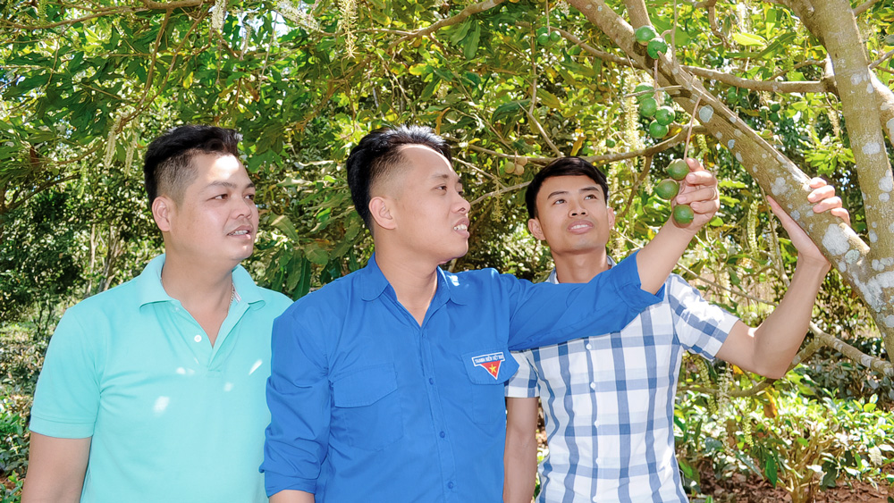 Nhiều đoàn viên, thanh niên Lâm Hà đã lập thân, lập nghiệp thành công trên quê hương