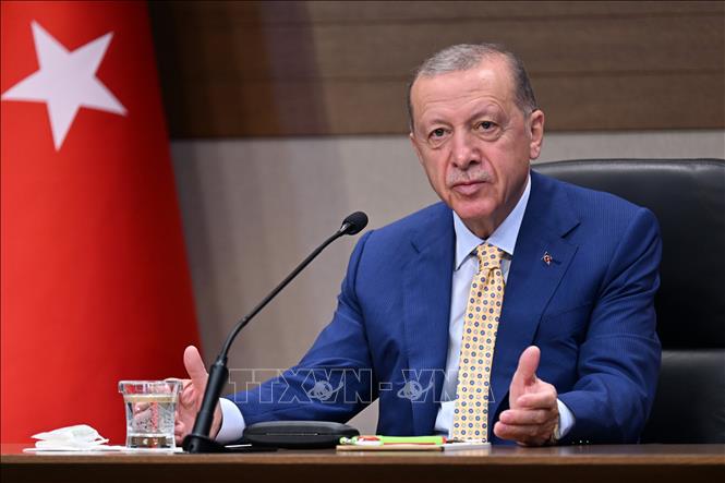 Tổng thống Recep Tayyip Erdogan phát biểu tại cuộc họp báo ở Istanbul, Thổ Nhĩ Kỳ. Ảnh tư liệu