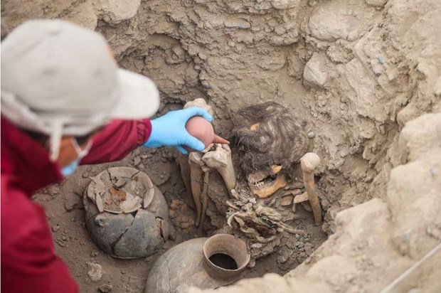 Peru: Khai quật xác ướp 1.000 năm tuổi tại một khu dân cư ở thủ đô