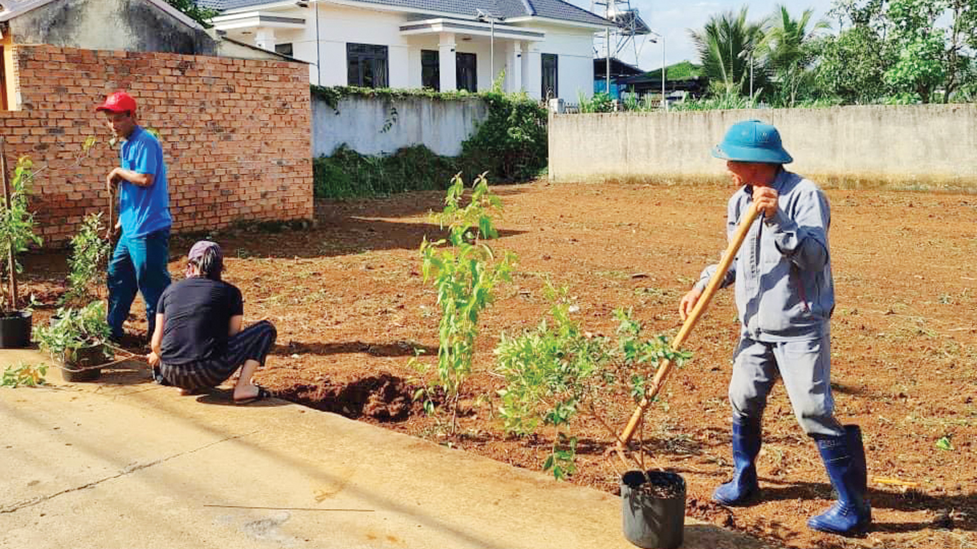 Nông dân Đức Trọng trồng cây xanh, hoa cảnh làm đẹp thôn, xóm