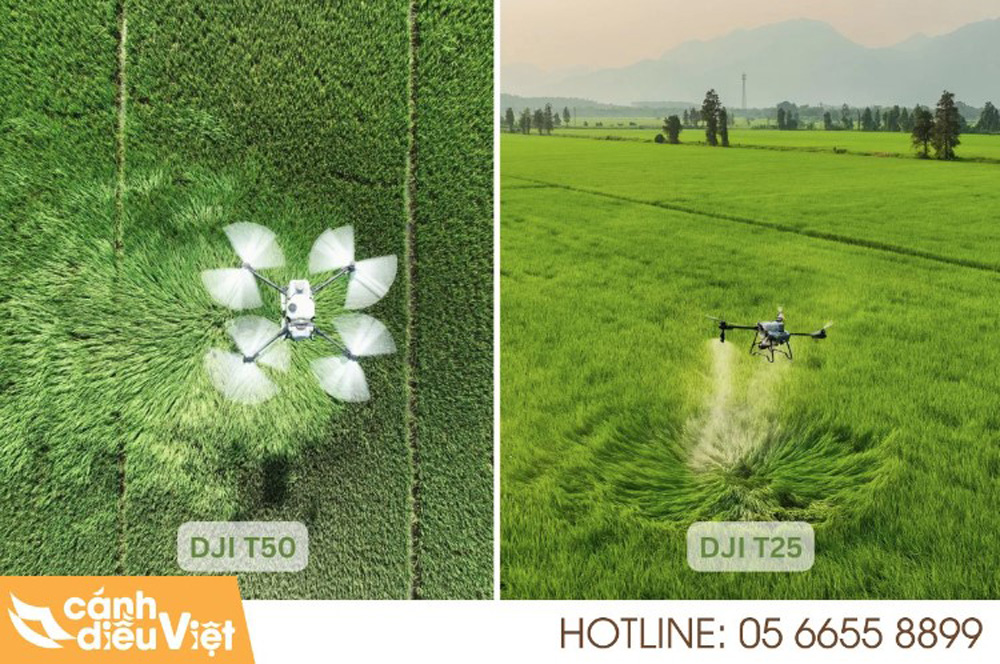 Máy bay DJI T50 và DJI T25 dòng máy bay hiện đại nhất phun thuốc mượt mà hơn, an toàn hơn