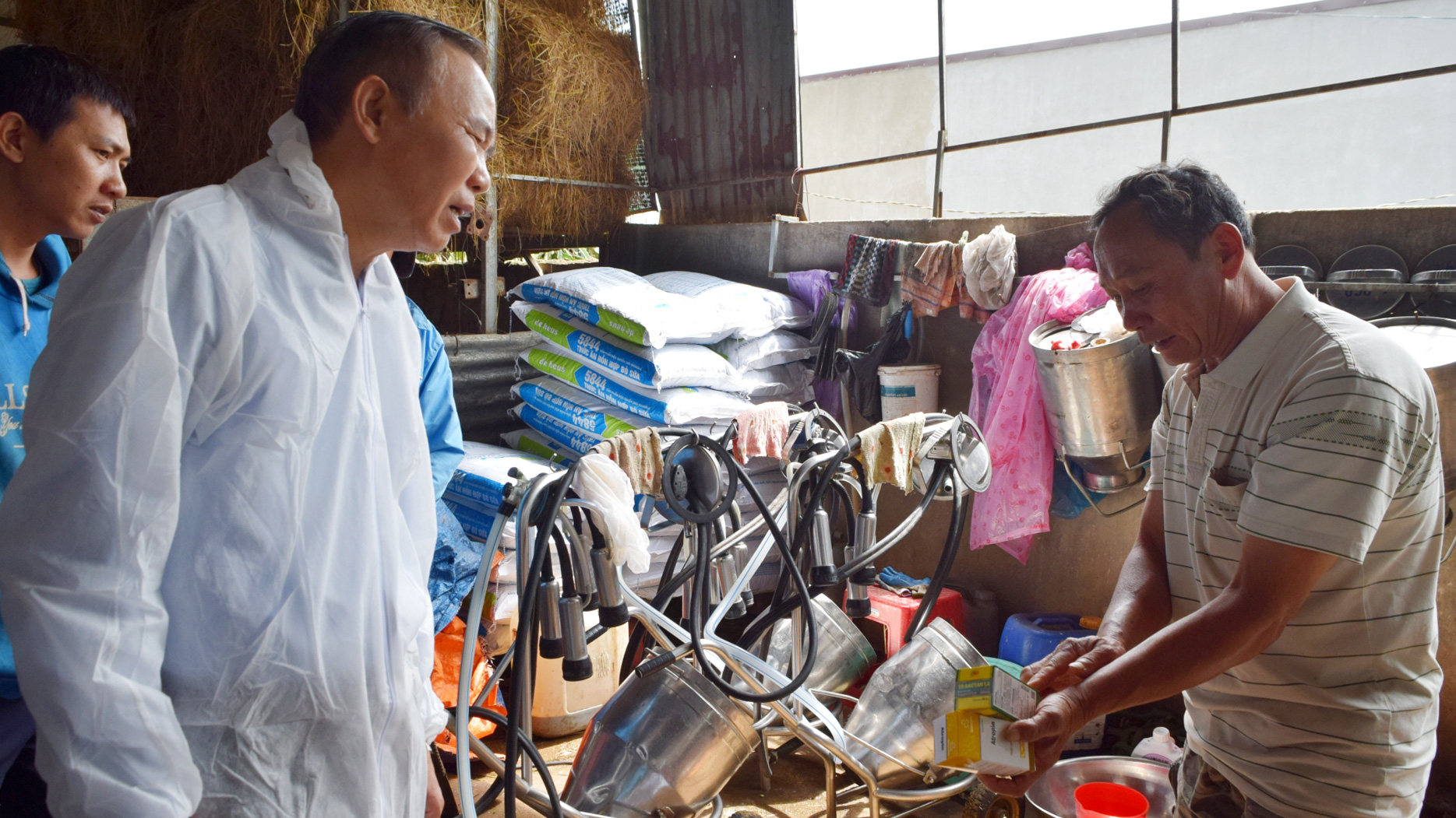 Thứ trưởng Bộ Nông nghiệp và Phát triển nông thôn Phùng Đức Tiến xem xét vác xin tiêm cho đàn bò tại thôn Bồng Lai, xã Hiệp Thạnh, huyện Đức Trọng