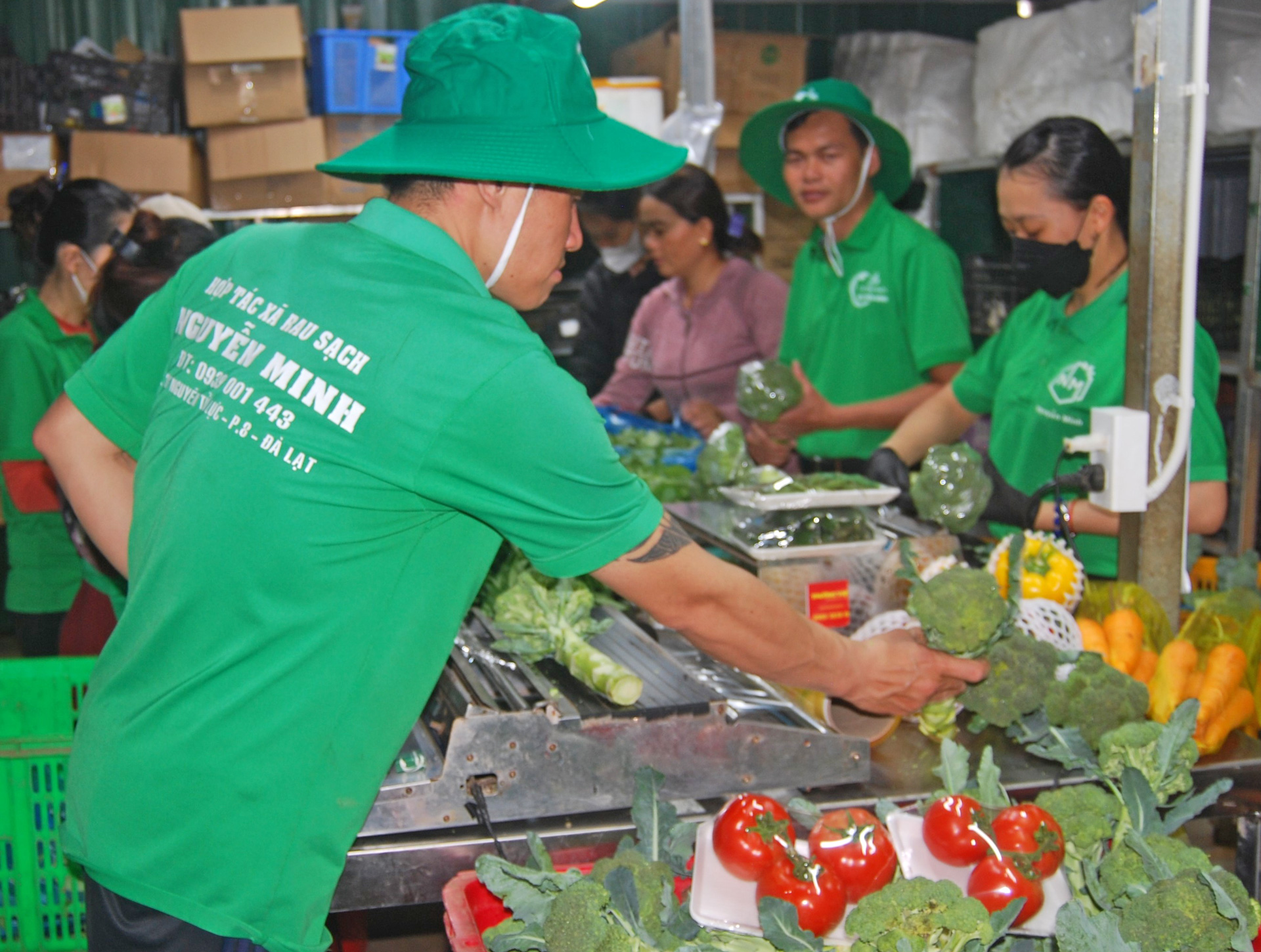 Đảng ủy Sở Nông nghiệp và Phát triển nông thôn Lâm Đồng chỉ đạo các cấp ủy 
trực thuộc tăng cường phát triển các chuỗi liên kết chặt chẽ, hiệu quả