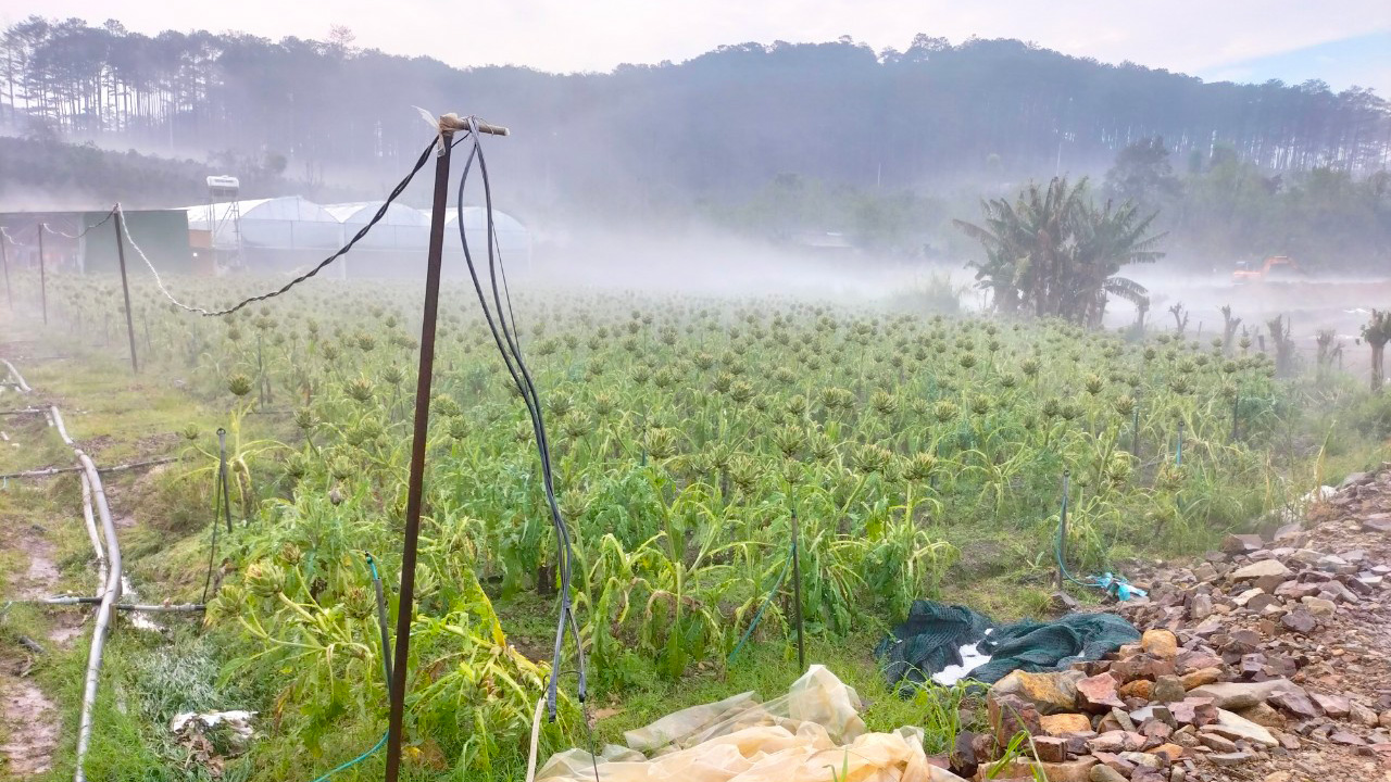 Dự báo mưa lớn kéo dài, UBND tỉnh chỉ đạo chủ động phòng ngừa, ứng phó với sạt lở đất, ngập lụt 