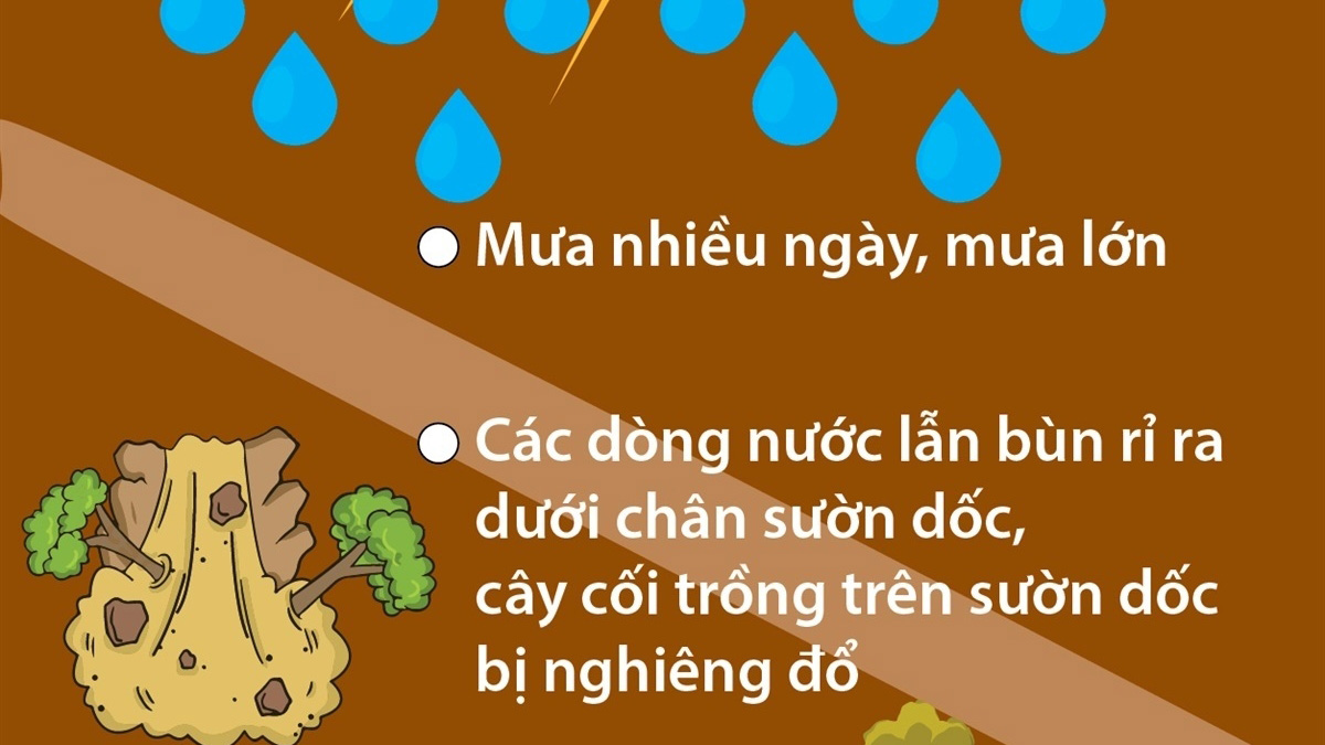 Dấu hiệu nhận biết nguy cơ sạt lở đất