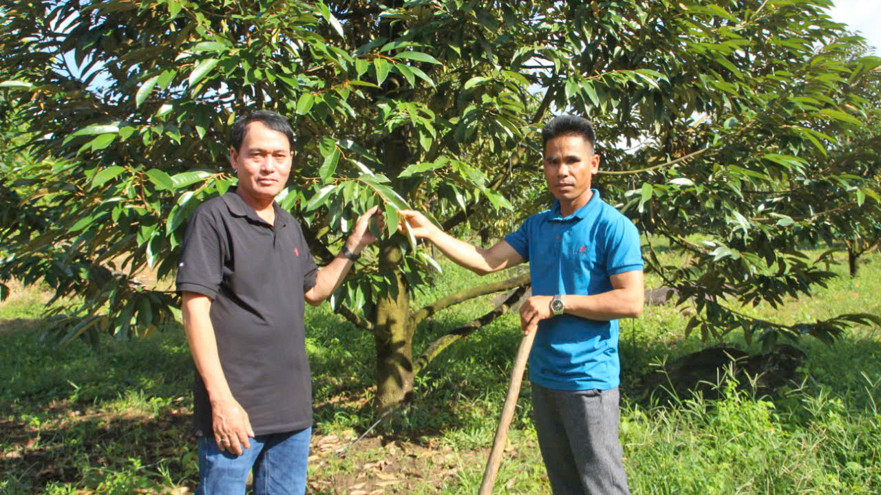 Đồng bào xã Đoàn Kết tích cực lao động sản xuất, làm giàu chính đáng 
trên mảnh đất quê hương