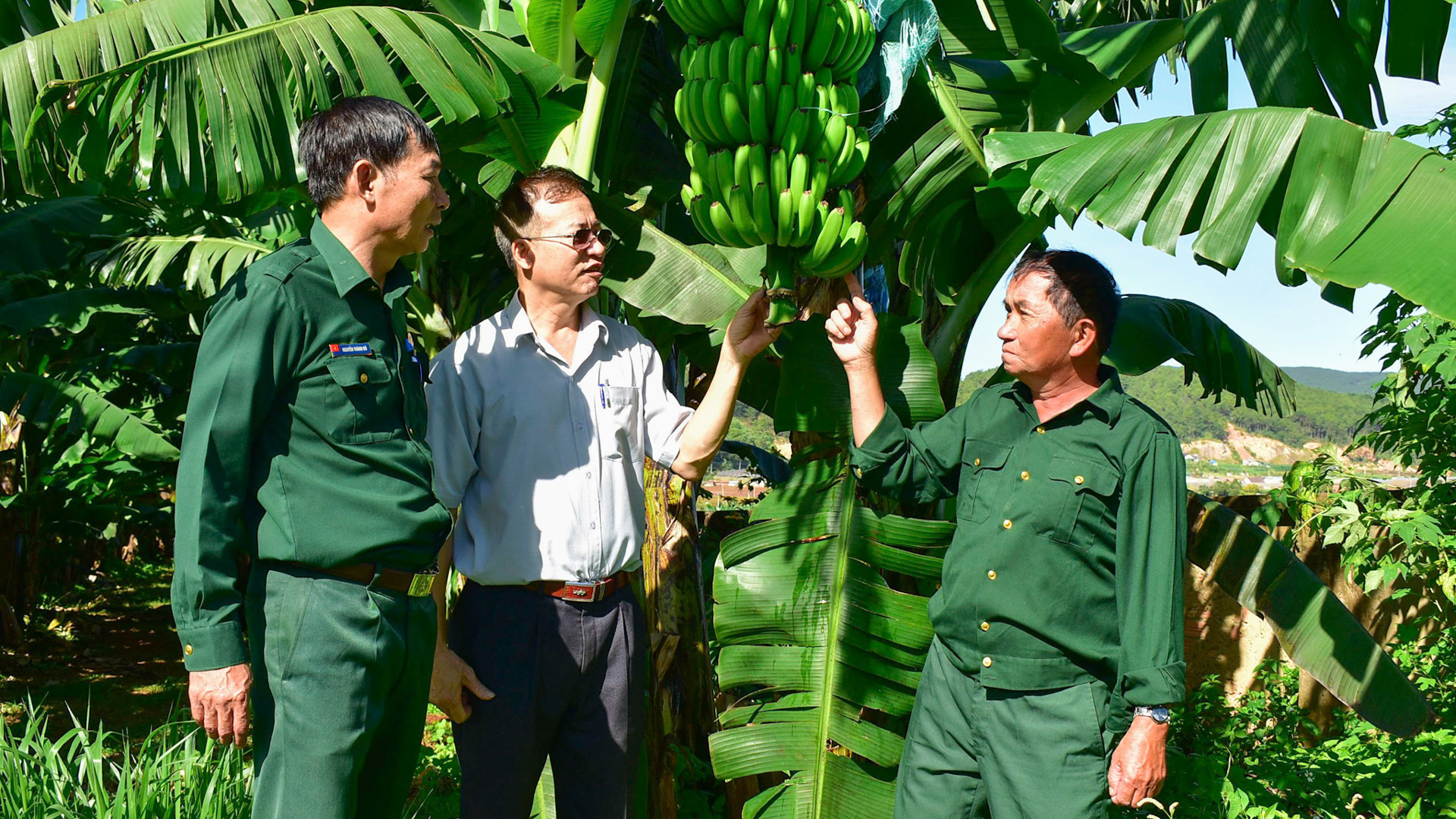 Động lực thúc đẩy cựu chiến binh phát triển kinh tế 