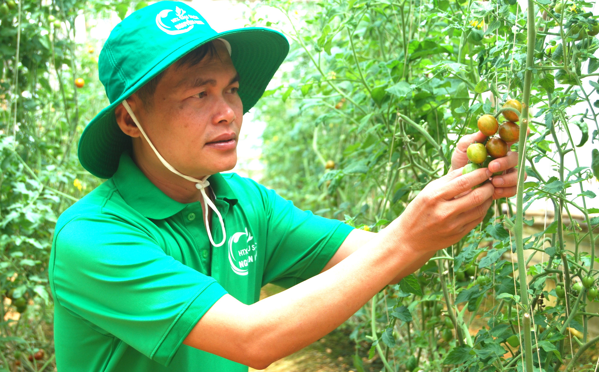 Hội Nông dân tỉnh phối hợp với các sở, ngành đào tạo, bồi dưỡng nông dân xuất sắc 
trở thành giám đốc HTX nông nghiệp