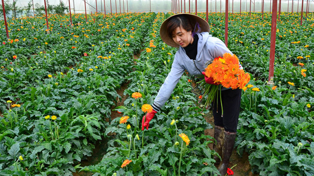 Lâm Đồng với tiến trình “chuyển đổi xanh” (Bài 2)